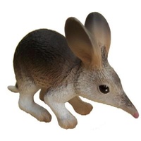 Science & Nature - Bilby