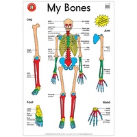 Learning Can Be Fun - My Bones Poster